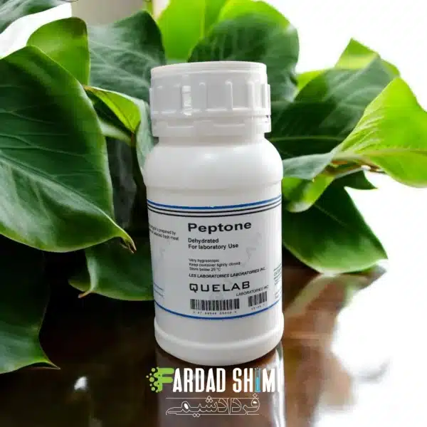 محیط کشت Peptone کیولب