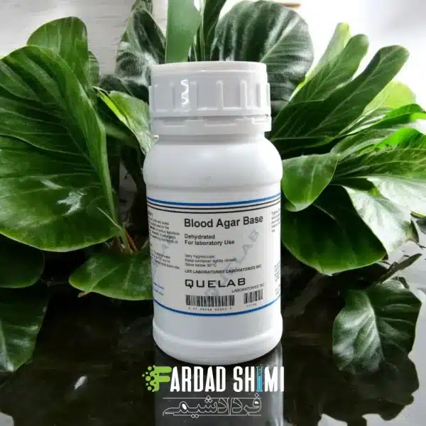 محیط کشت Blood Agar Base کیولب