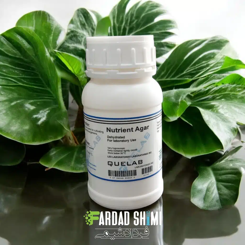 11225549.webp محیط کشت Nutrient Agar کیولب - تصویر 1